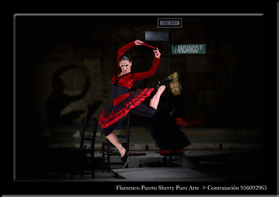 flamenco en Cardeñosa de Volpejera