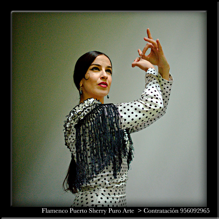 💃🏻 Flamenco en Lizasoain, Navarra
