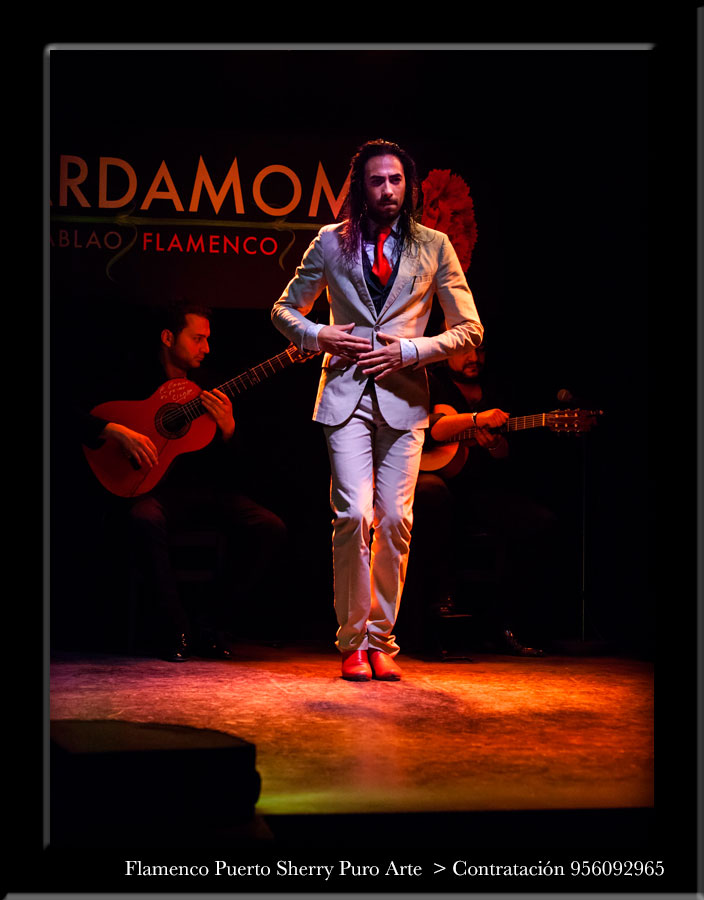 flamenco en Alar del Rey