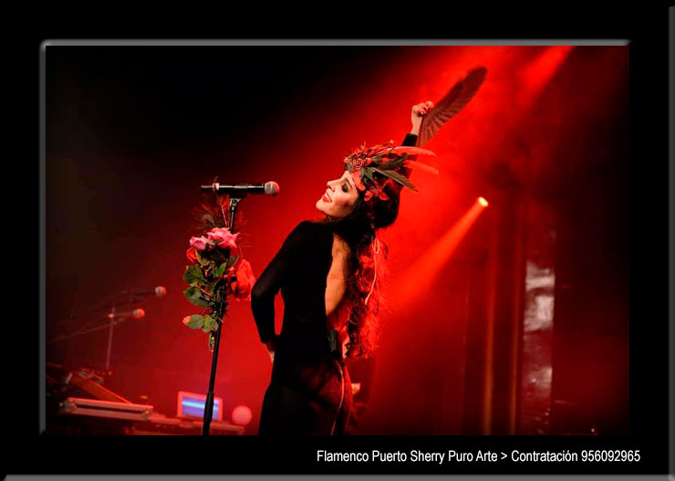 💃🏻 Flamenco en Ciriza, Navarra