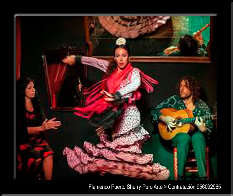 flamenco en Palencia